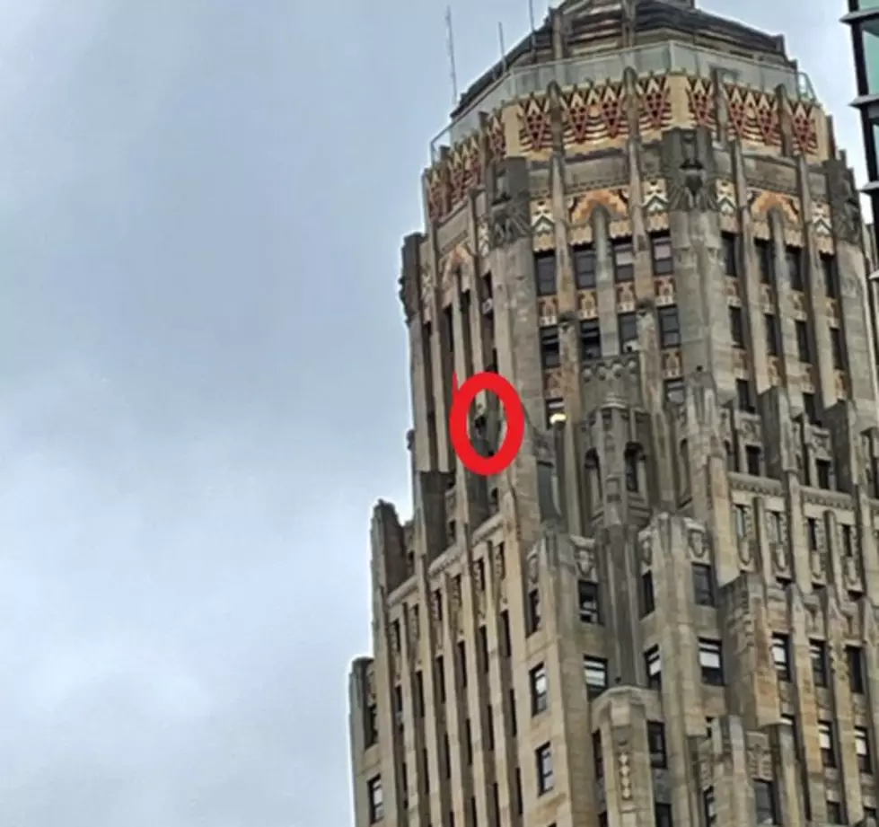 Jumper On Ledge At Buffalo’s City Hall in Scary Situation + How He Was Rescued