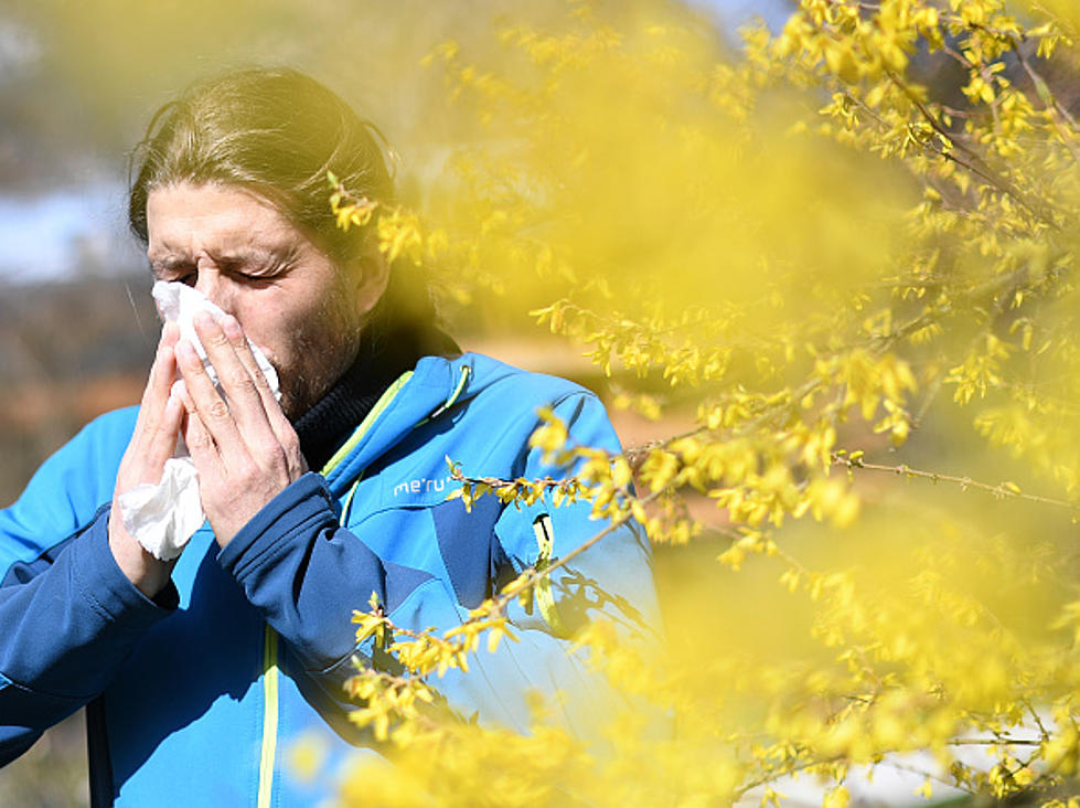 6 Ways To Fight Allergies in Western New York