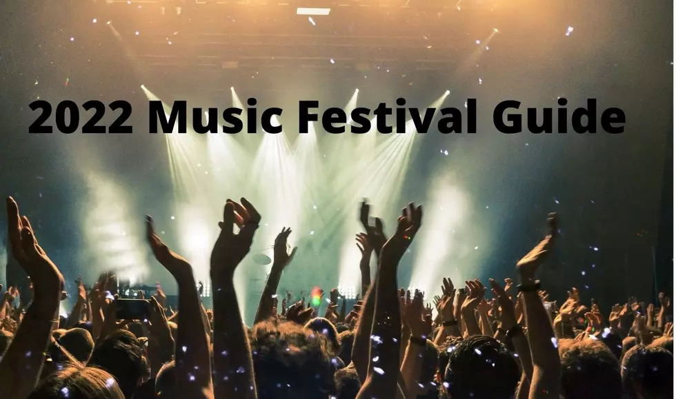 Music Festival Guide For Summer 2022 In Western New York