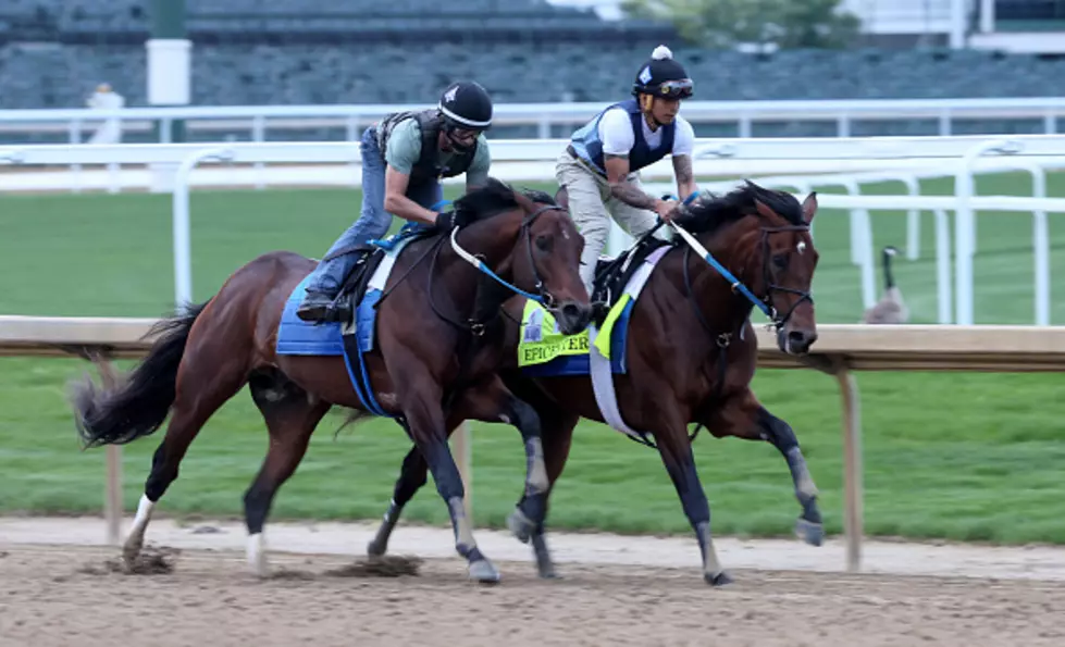 Kentucky Derby Horse Being Rooted For in New York