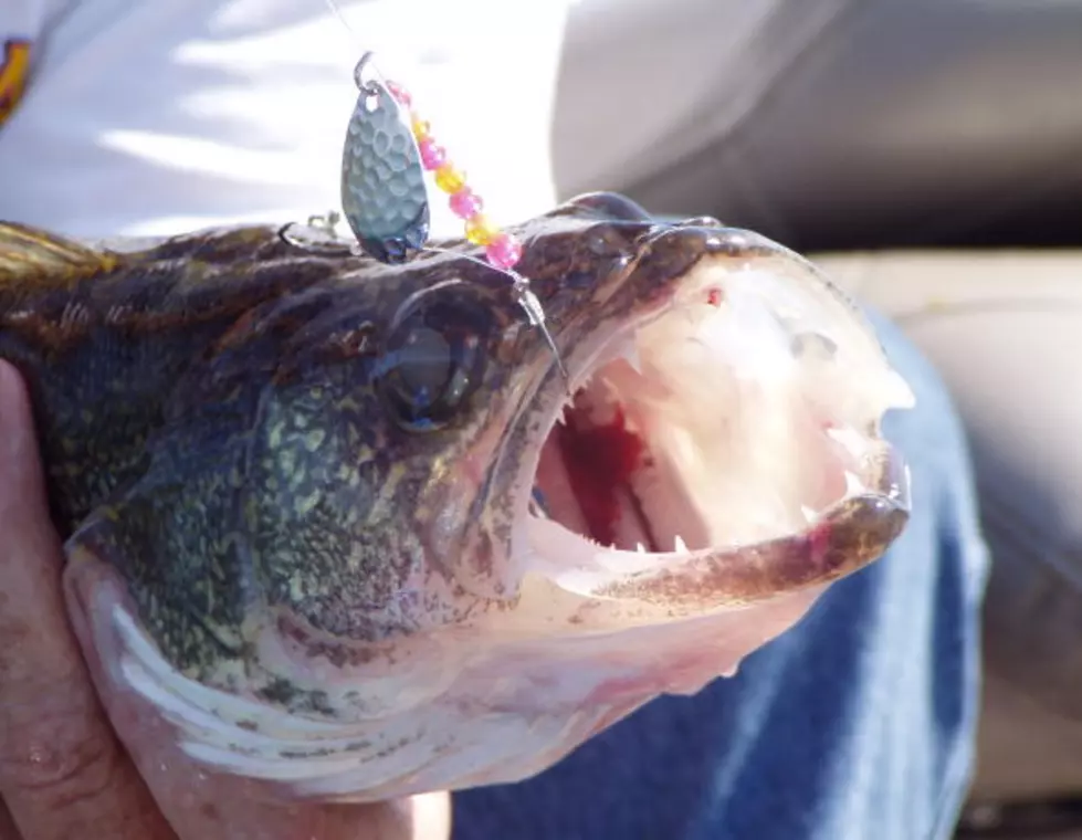 Western New York Fishing Groups Blast Cheaters [VIDEO]