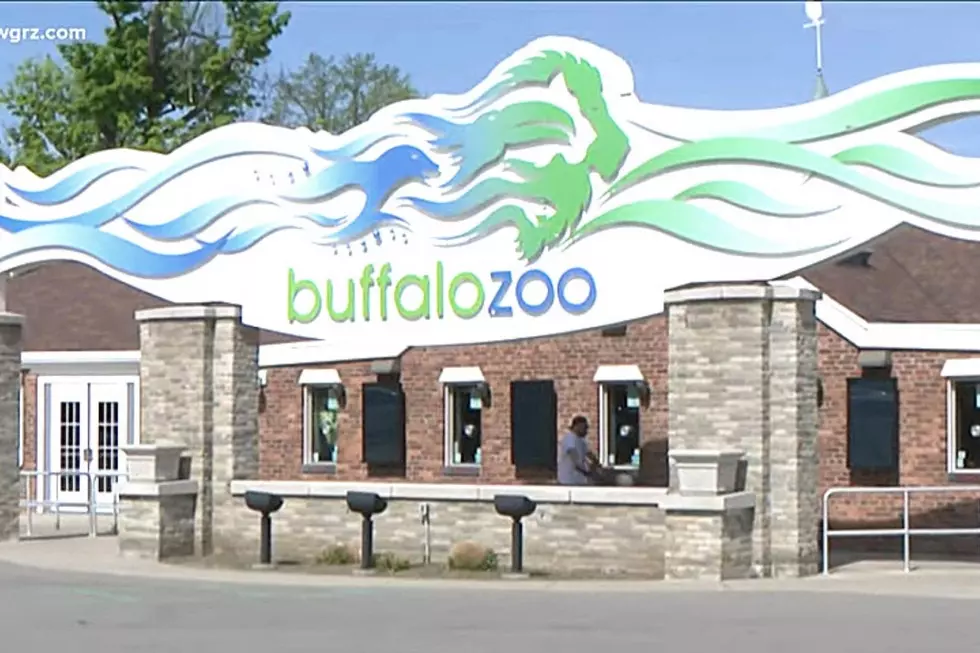 Buffalo Zoo Suffers Two Losses In Their Animal Family