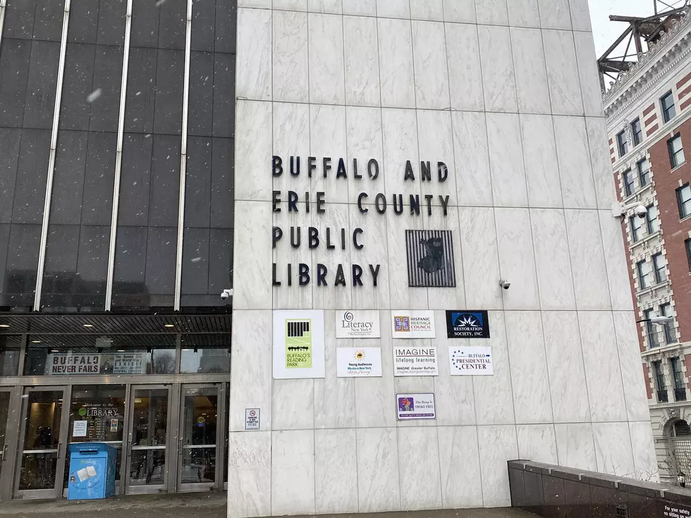 Most Popular Materials Borrowed From The Library In Buffalo