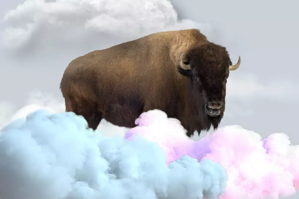 Unmistakable Buffalo Shape Captured In The Sky Over Buffalo