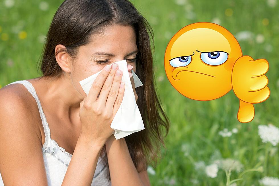 Buffalo Is One Of The Worst Cities In The US For Grass Allergies