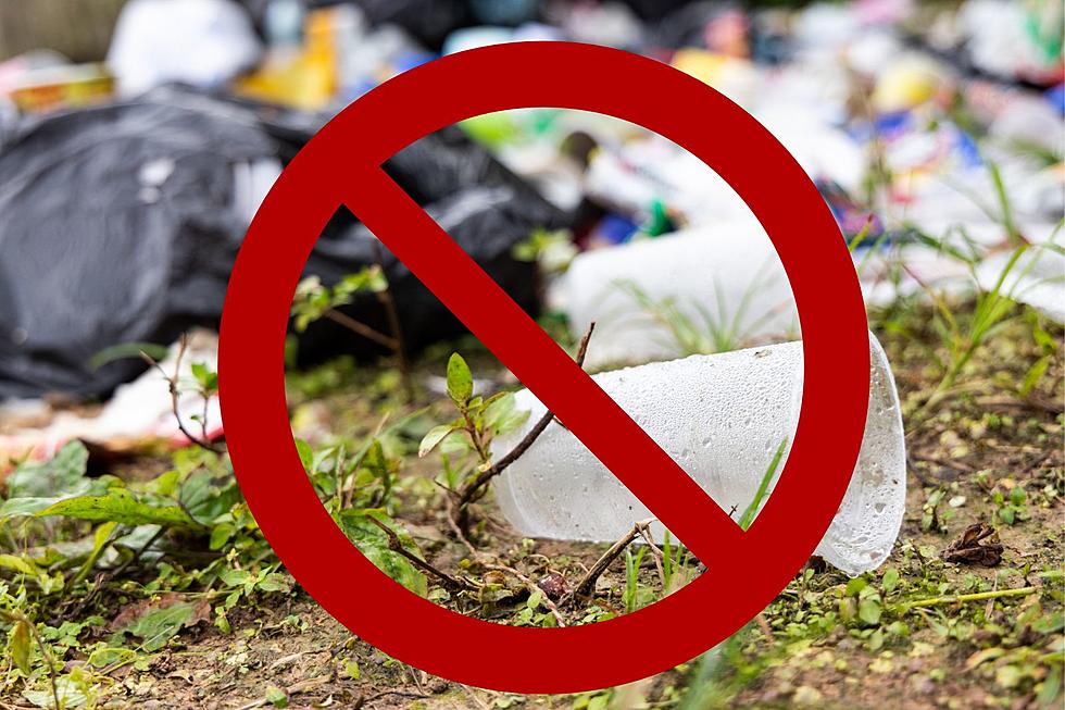 Careful! 5 Items That Are Illegal To Throw In The Trash In New York