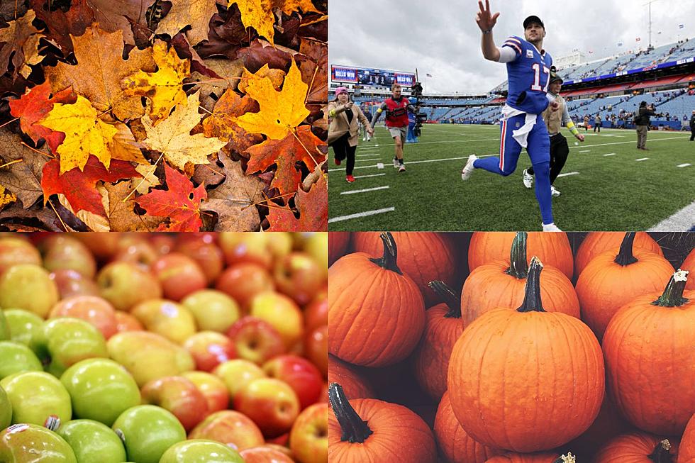 15 Things To Look Forward To For Fall In Western New York