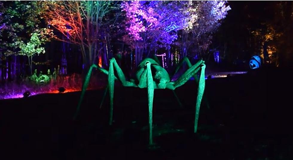 Griffis Park Bringing Back Their Illuminated Sculpture Exhibition