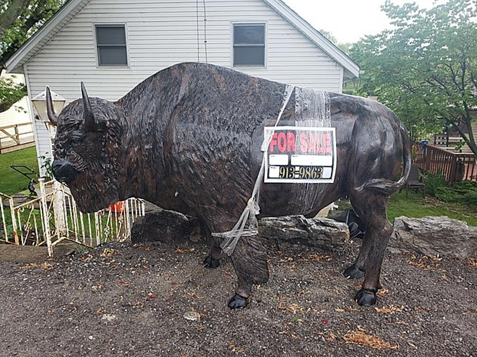 Massive Buffalo Statues For Sale Before Bills Games