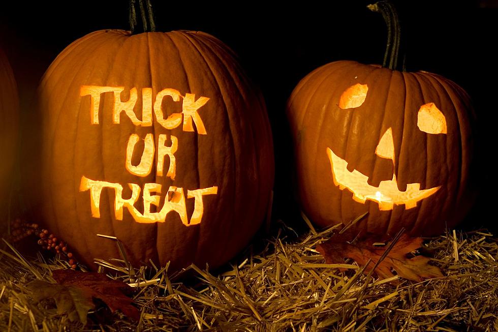 Expert Tips To Ensure Your Halloween Pumpkin Stays Fresh In New York