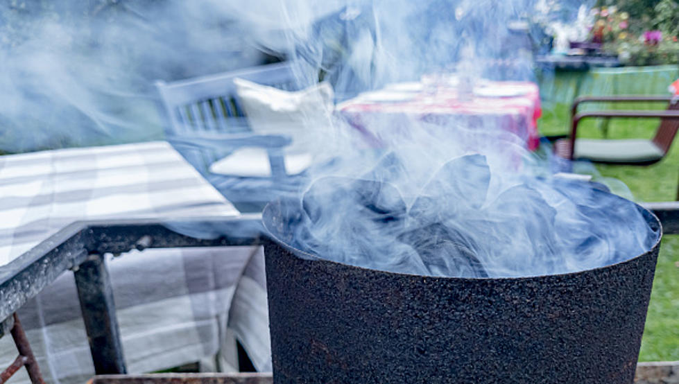 Gas And Charcoal Grill Ban Looms In New York State