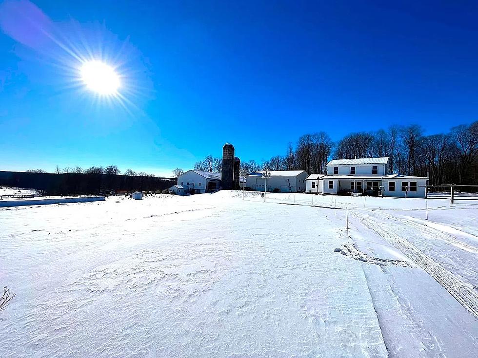 Picture Perfect Farm For Sale In New York State [PHOTOS]