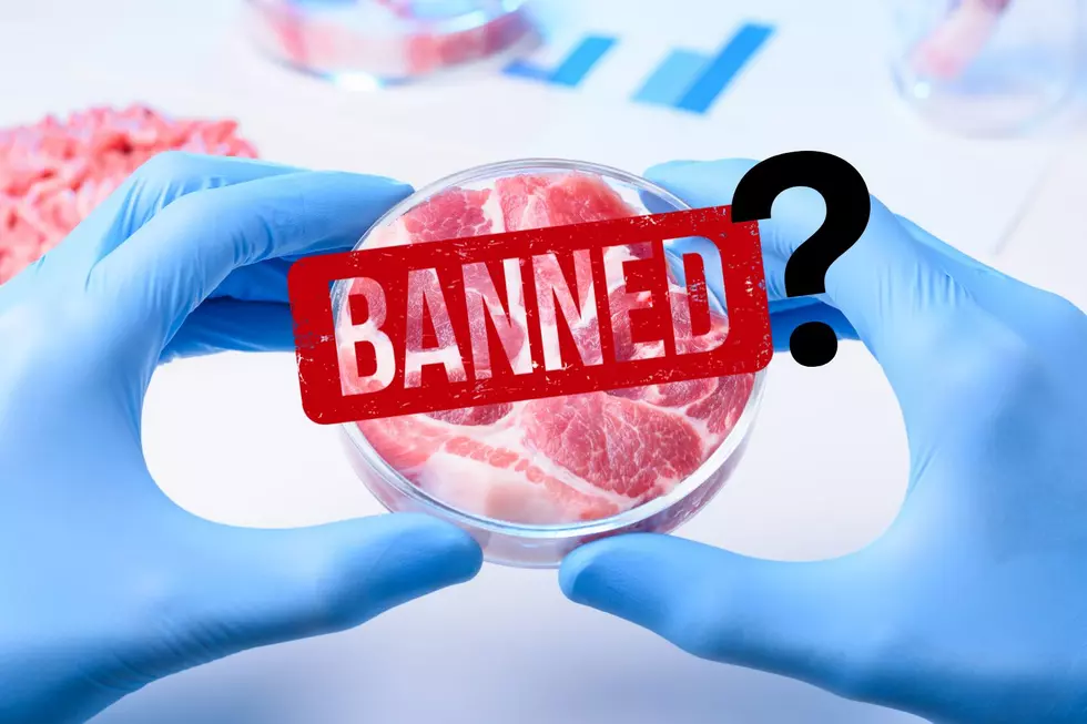 Lab Grown Meat Being Banned In New York?