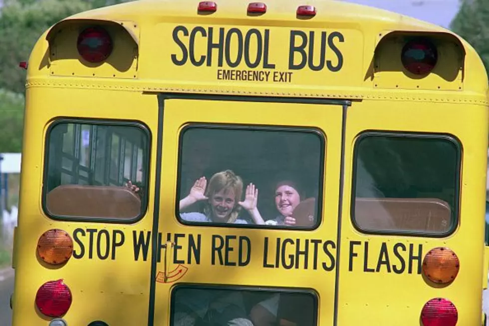Did Every 90’s Western New York Kid Have One Of These?