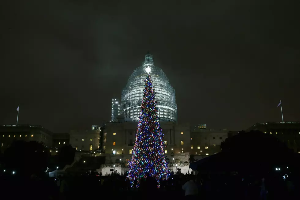 The U.S. Capitol Christmas Tree Makes It Way Through Wyoming