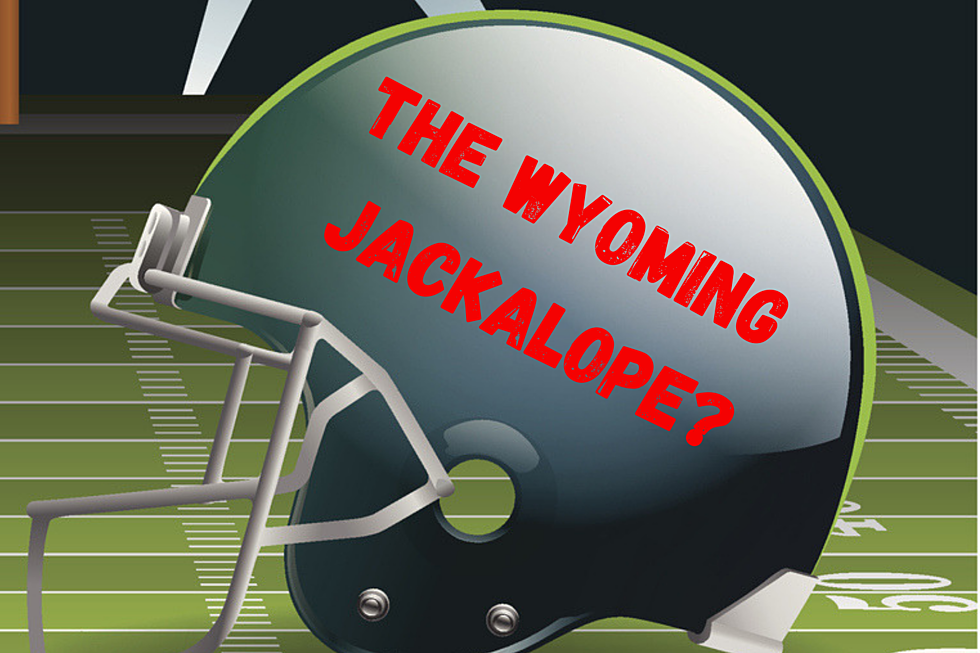 What Would Wyoming’s NFL Team Name Be?
