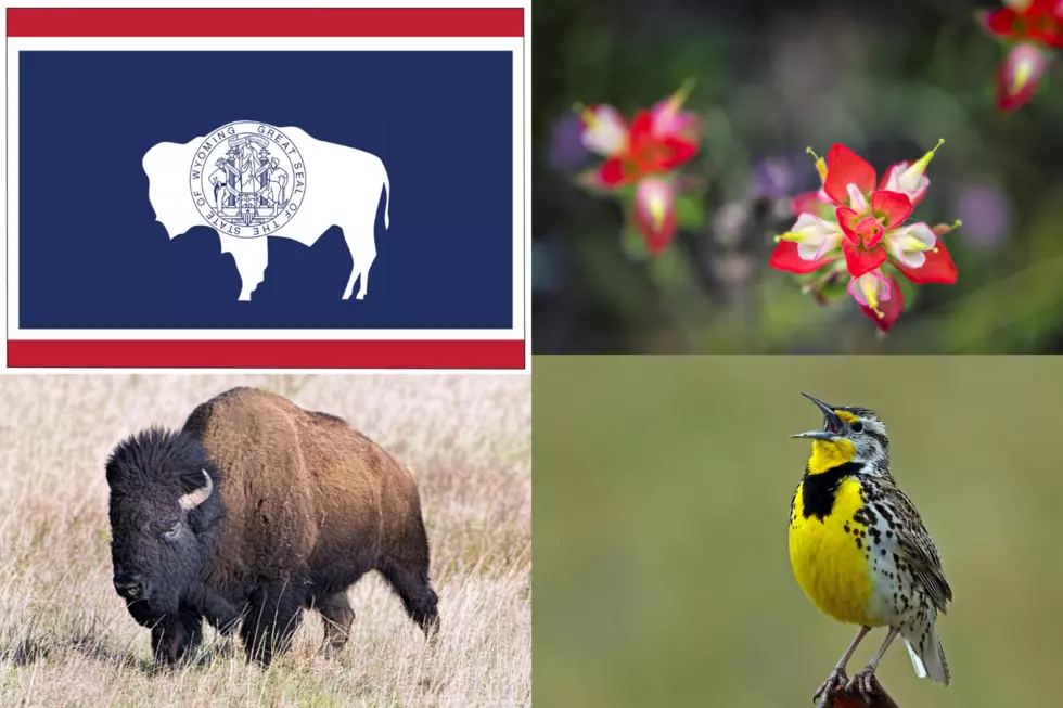 Do you Know Wyoming Has 2 State Songs, a State Dinosaur and a State Grass?