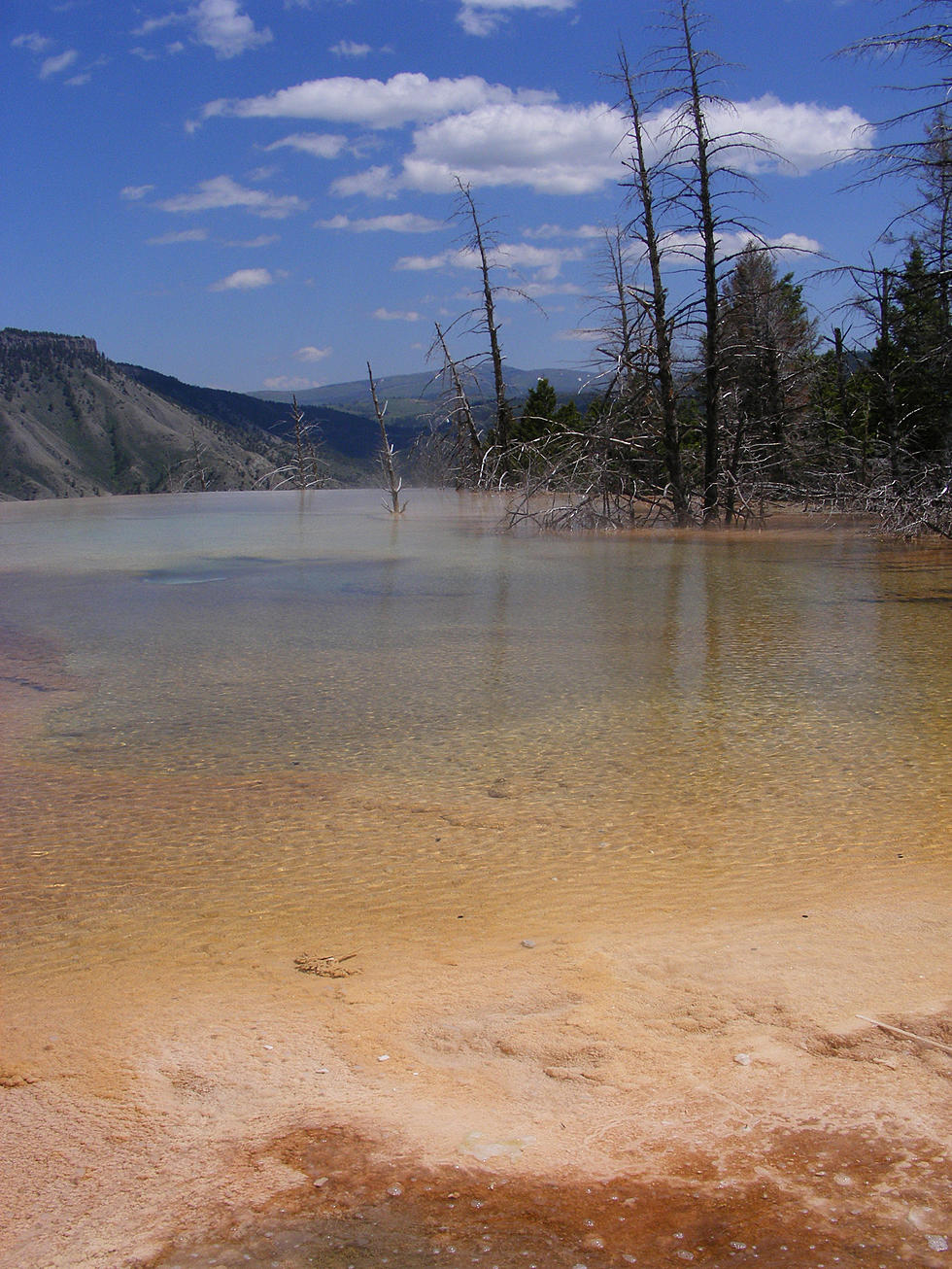 Yellowstone Habitats On ‘Top Ten’ Risk List