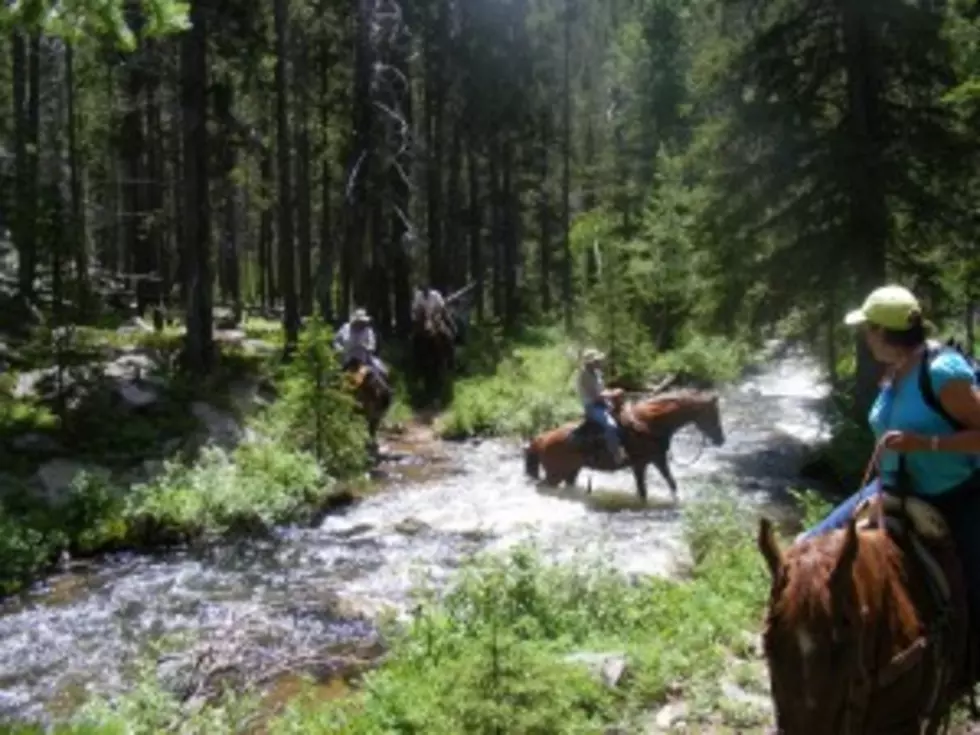 Report to Wyoming &#8211; Into Rock Creek [PHOTOS, AUDIO]