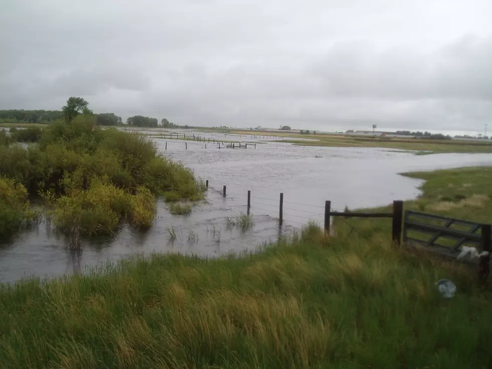 Forecast Rain Could Cause Flooding in Laramie Area