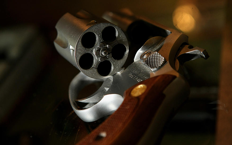 19 States to Help Challenge New Jersey Gun Law
