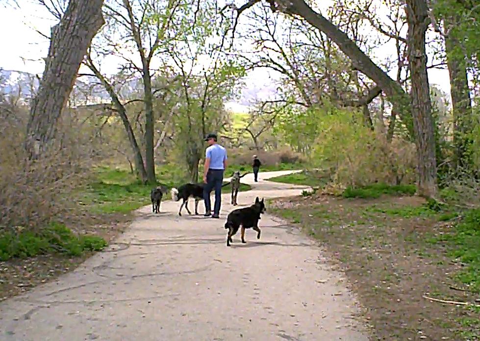 Morad Park Closes For Construction September 14th Leash Laws In Effect