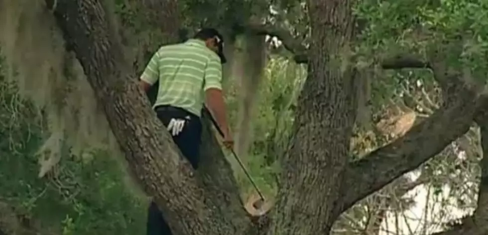 Sergio Garcia Hits Ball Out Of Tree [VIDEO]