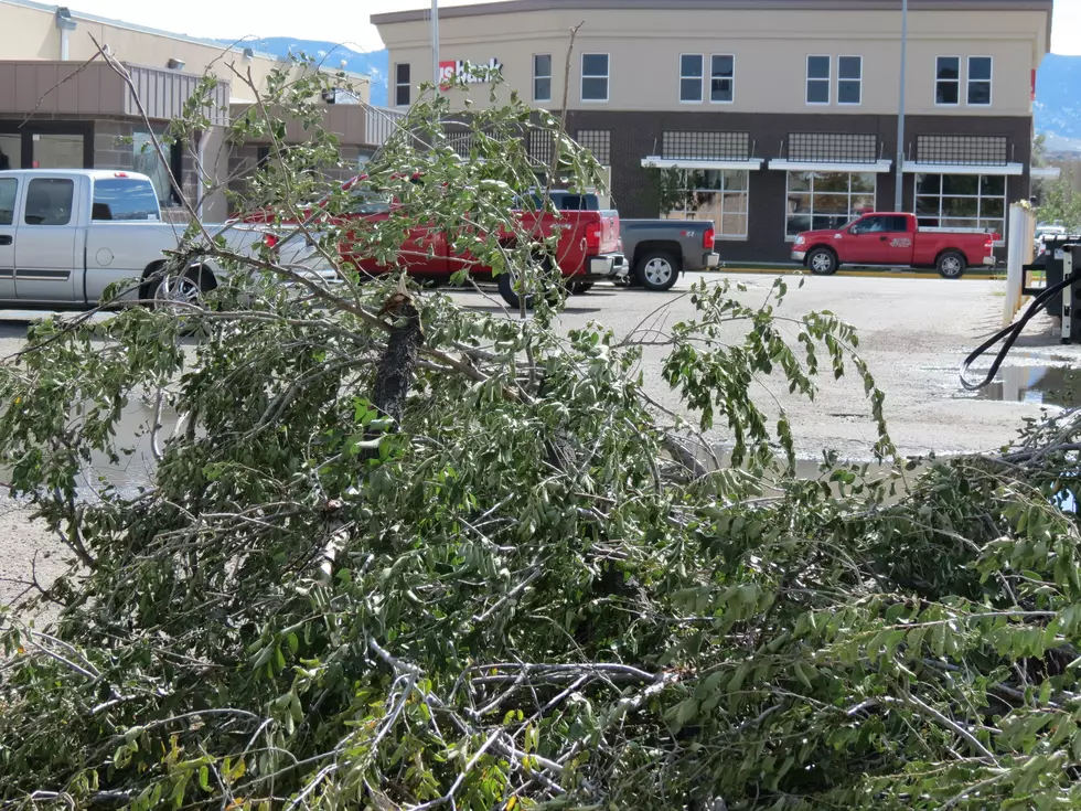 Casper Continues Branch Cleanup Operations