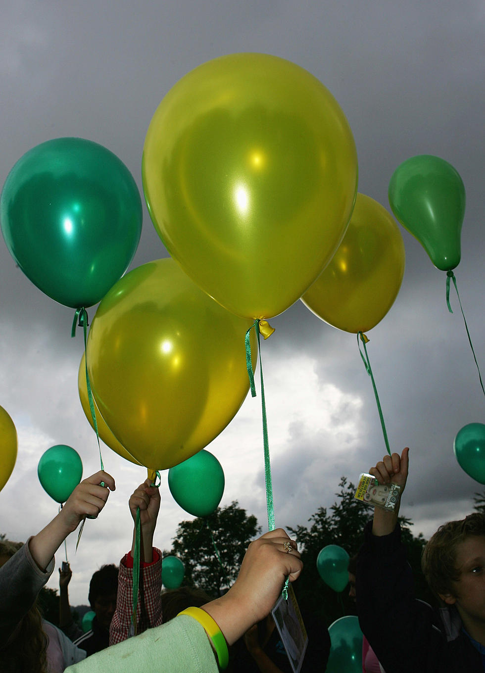 Balloon Release September 13th To Remember Lost Pets