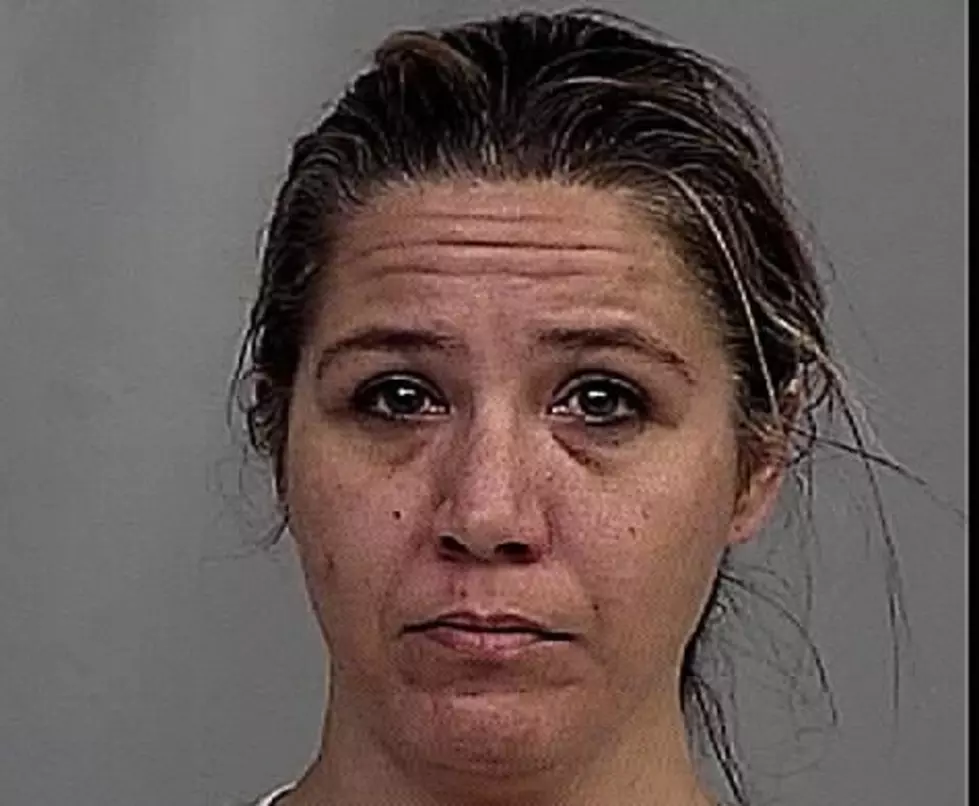 Woman Pleads Guilty To Drug Possession; She Tried To Smuggle It Into Jail
