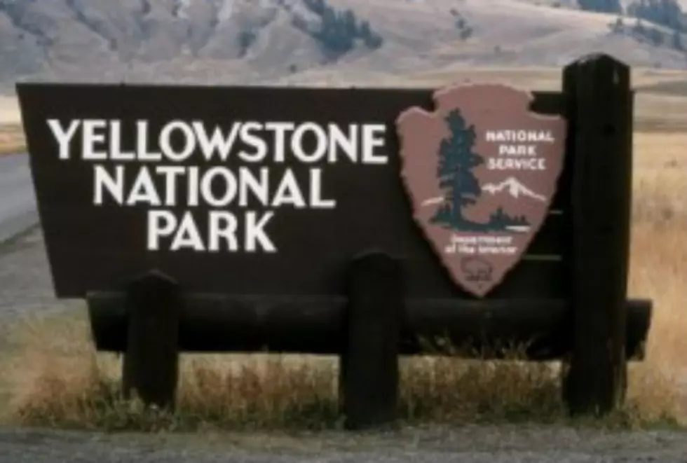 Swimmer Missing in Yellowstone National Park