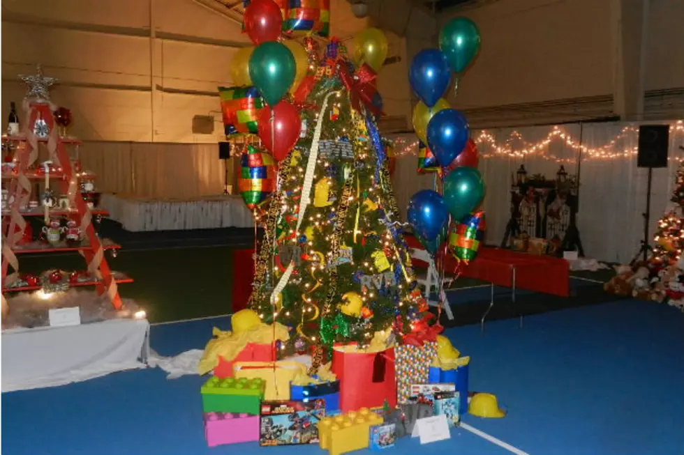 Decorated Trees Up For Auction At 2015 Festival of Trees Event [PHOTOS]