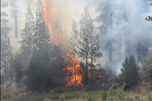 Wyoming Fire Season Looks to be Average