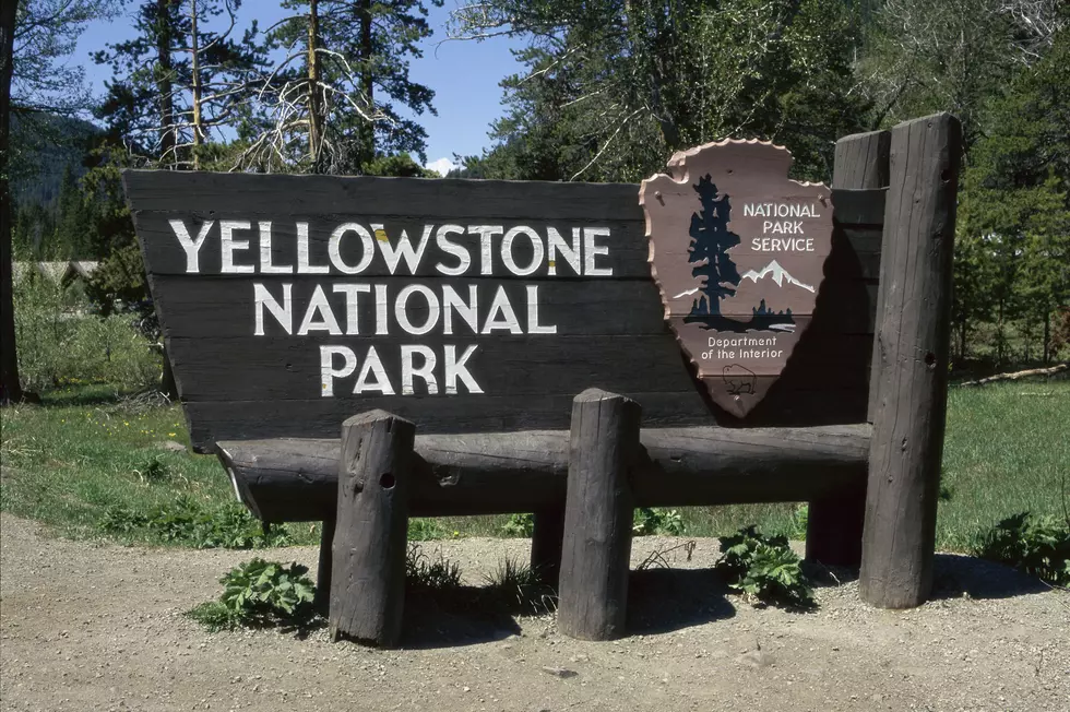 Yellowstone’s Fire Danger Raised To ‘Very High’