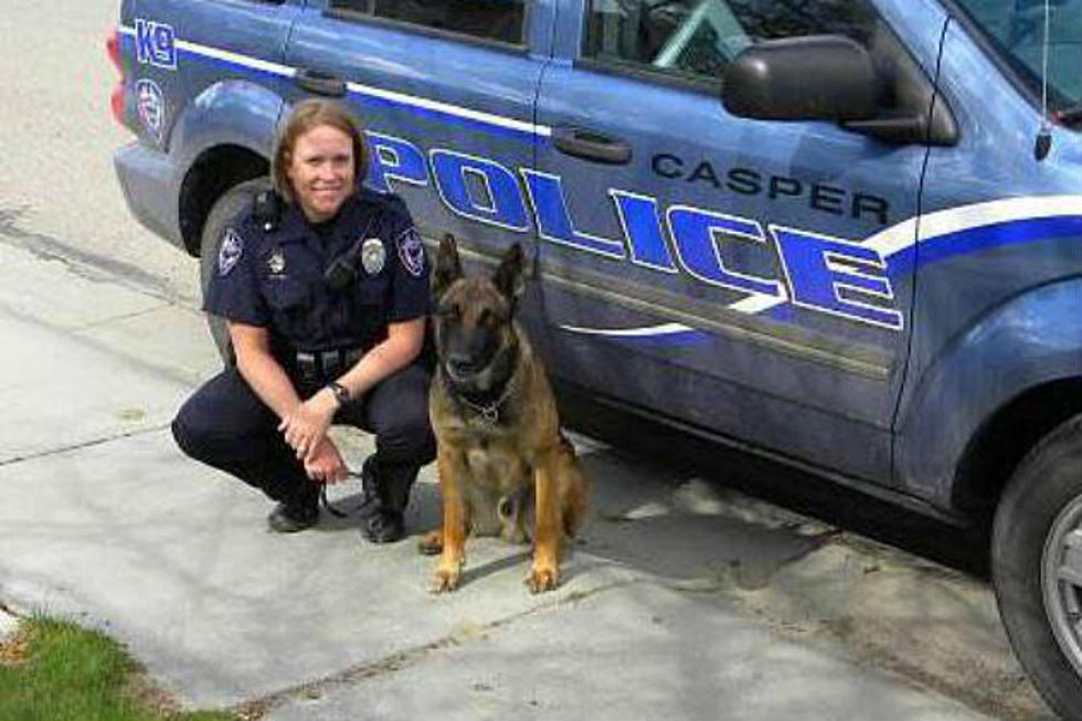 Retired Casper Police Dog Passes Away