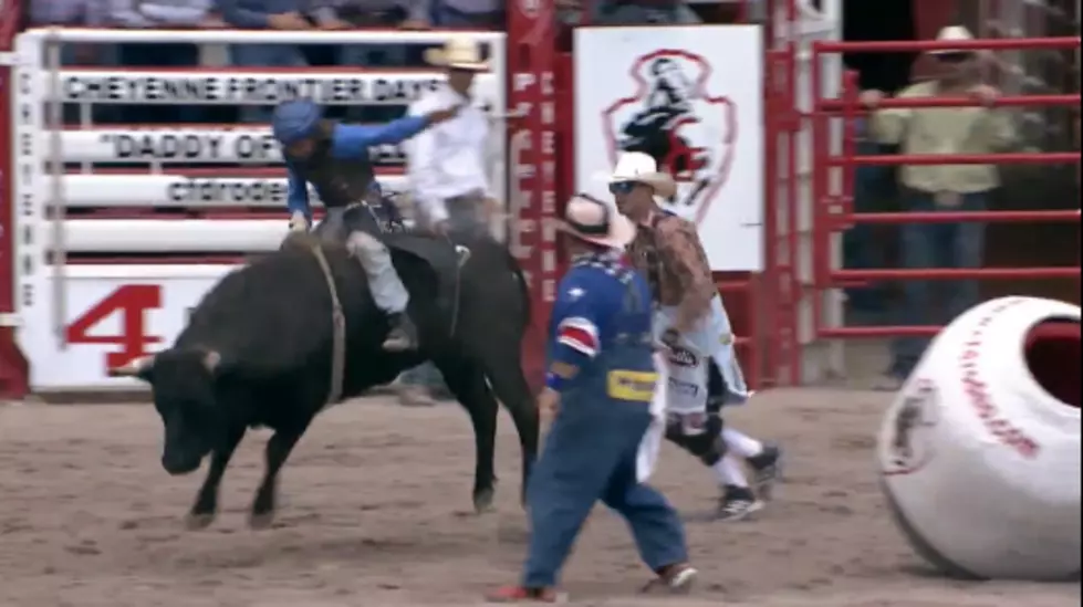 Mini Bull Riding at Cheyenne Frontier Days [VIDEO]