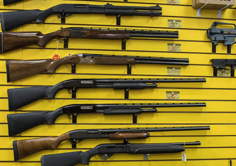 Wyoming Panel Rejects Gun Reporting Bill