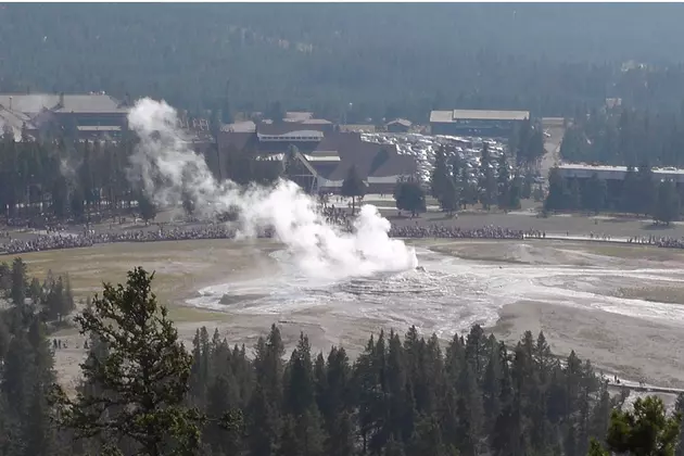 Fire Burning 3 Miles South of Old Faithful in Yellowstone National Park