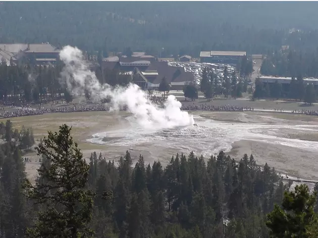 Fire Burning 3 Miles South of Old Faithful in Yellowstone National Park