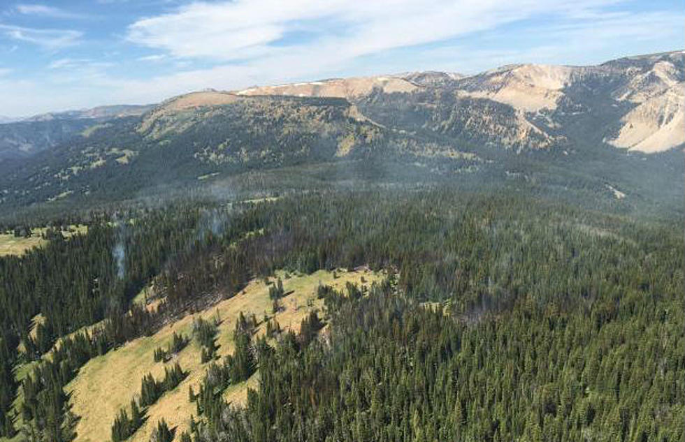 Yellowstone: Fire Danger Now High; New Wildfire Nearby In Montana