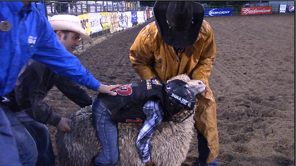 Central Wyoming Rodeo Mutton Bustin’-Wednesday [VIDEO]