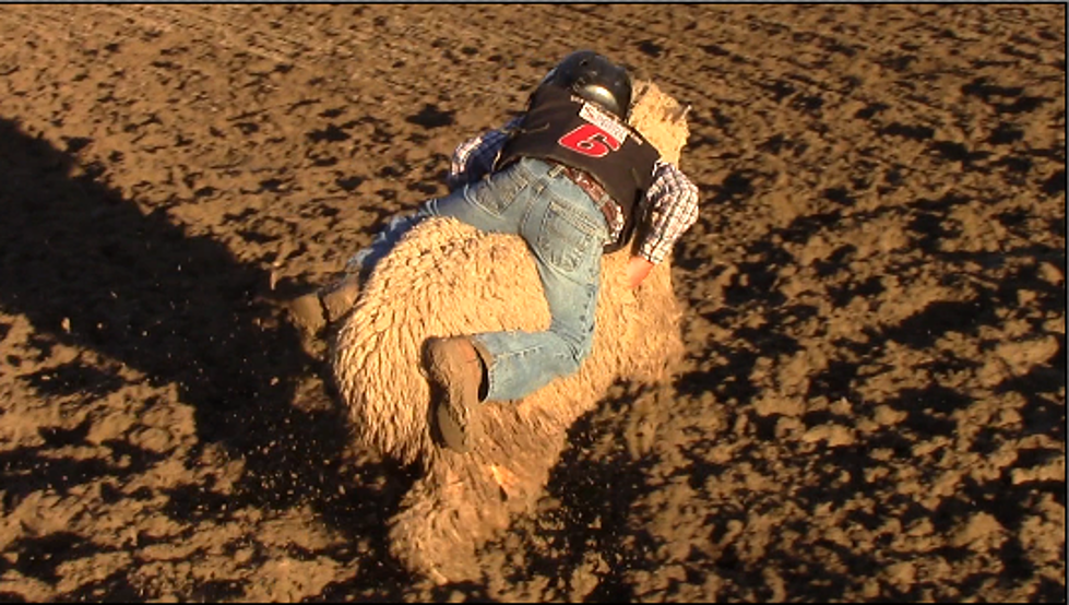 Central Wyoming Rodeo Mutton Bustin’-Friday [VIDEO]