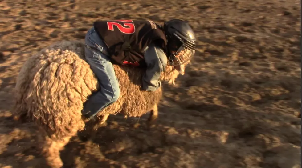 Central Wyoming Rodeo Mutton Bustin’ [VIDEO]