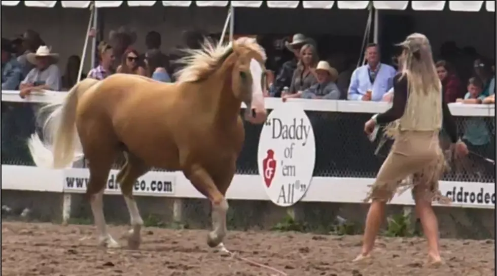 Cheyenne Frontier Days Rodeo Trick Riders [VIDEO]