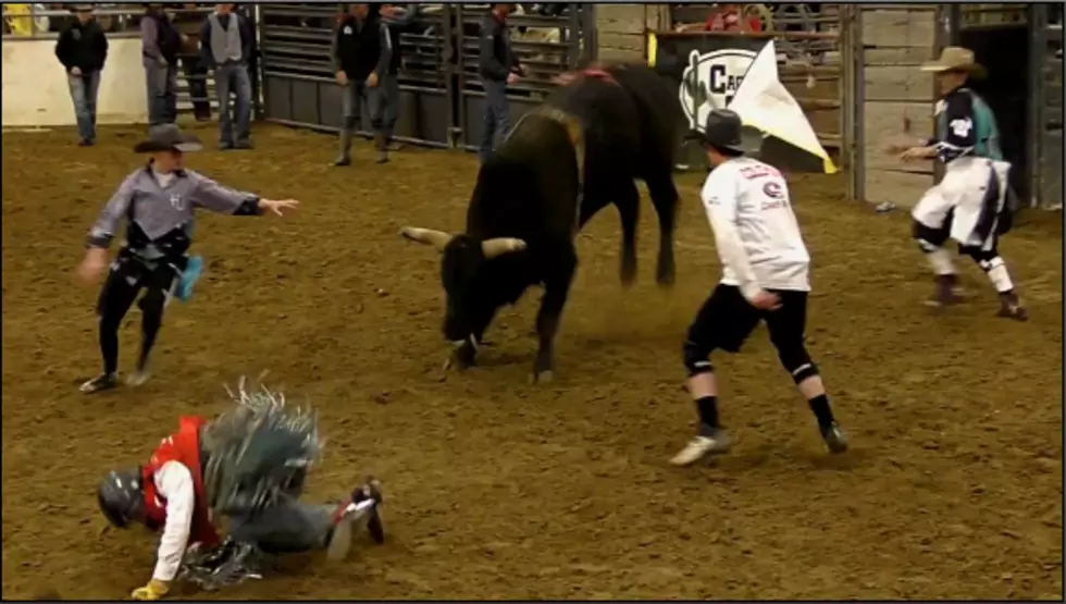 Bucking Bulls From The Burch Rodeo Co. [VIDEO]
