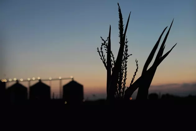 Farmers&#8217; Loyalty to President Tested Over New Corn-Ethanol Rules