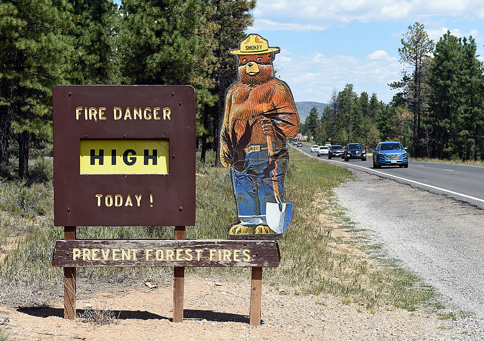 Forest Fire Prevention Icon Smokey Bear is Turning 75