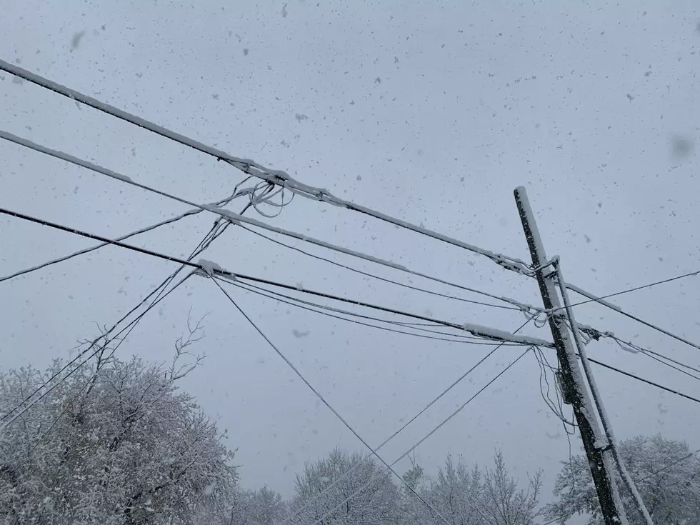 Over 9,600 Without Power in Laramie Following Heavy June Snow