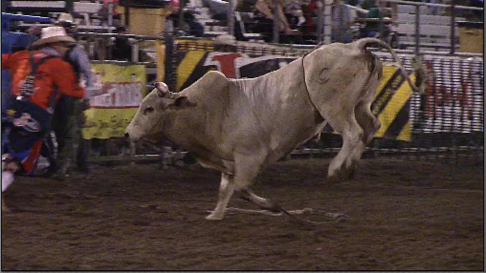 Breaking News: Big Wyoming Summer Rodeos Canceled Over Virus