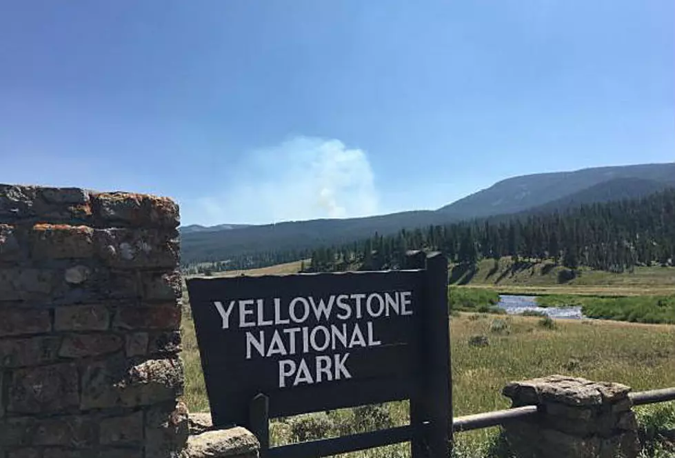 Yellowstone National Park Fire Danger Raised to High